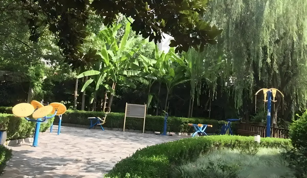 办理引进人才落户_专访导演饶晓志：对《万里归途》满意和骄傲 专访导演饶没有第二家了